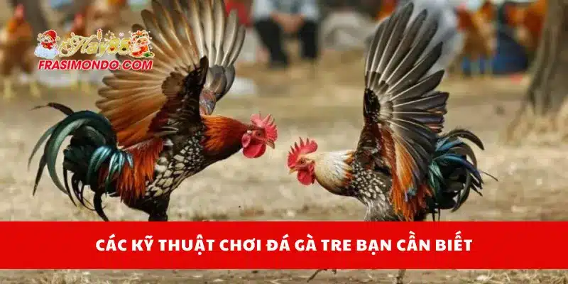Các kỹ thuật chơi đá gà tre bạn cần biết