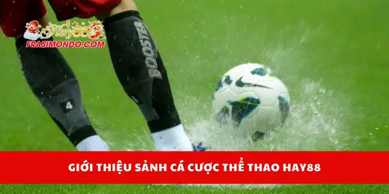 Giới thiệu sảnh cá cược thể thao Hay88