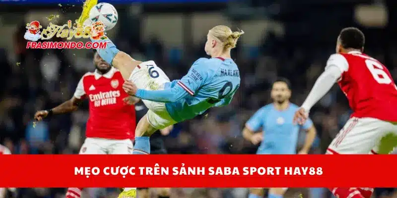 Mẹo cược trên sảnh SABA Sport Hay88