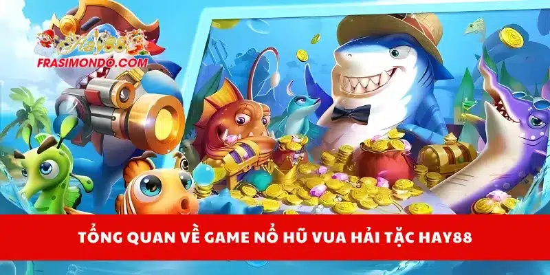 Tổng quan về game nổ hũ vua hải tặc Hay88